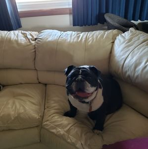 Meet your Posher, Paul